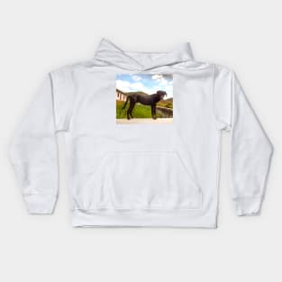 The farmer dog Kids Hoodie